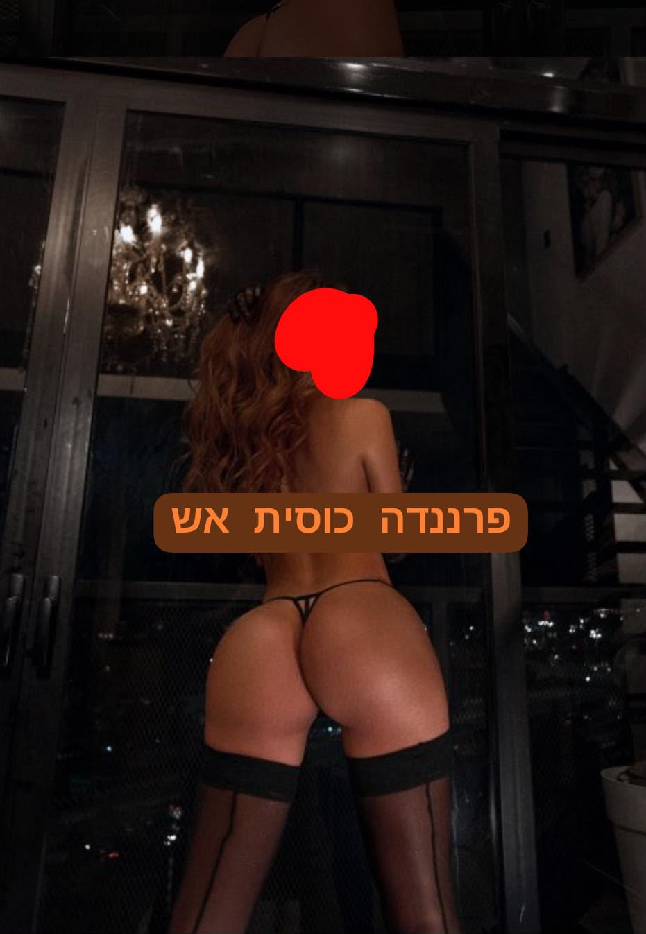 פרננדה חזרה לחולון